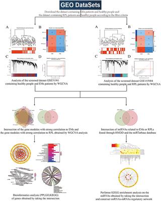Exploration of the Shared Gene and Molecular Mechanisms Between Endometriosis and Recurrent Pregnancy Loss